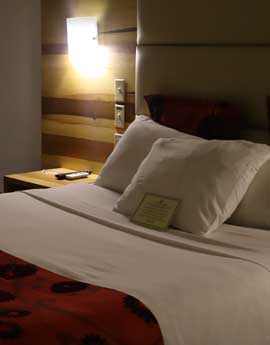 dream accommodation tegucigalpa Minister Business Hotel