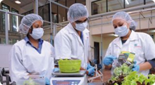 clases bonsai tegucigalpa Universidad Zamorano